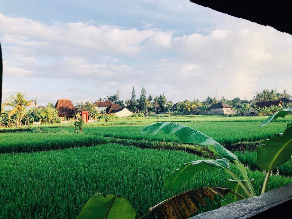 Umagama Villas 乌布 外观 照片
