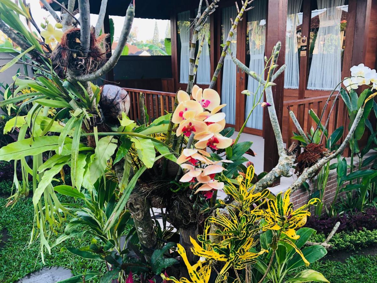 Umagama Villas 乌布 外观 照片