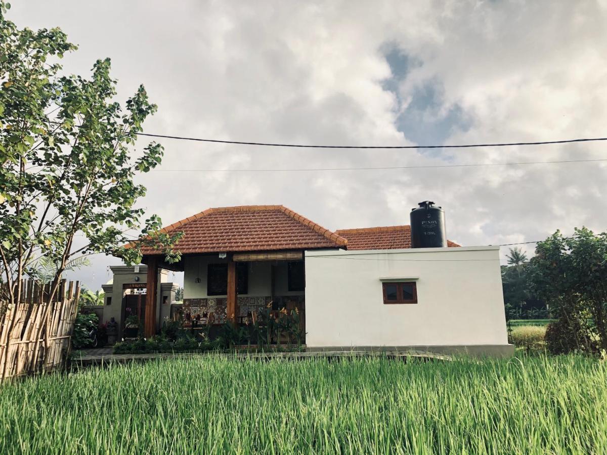 Umagama Villas 乌布 外观 照片